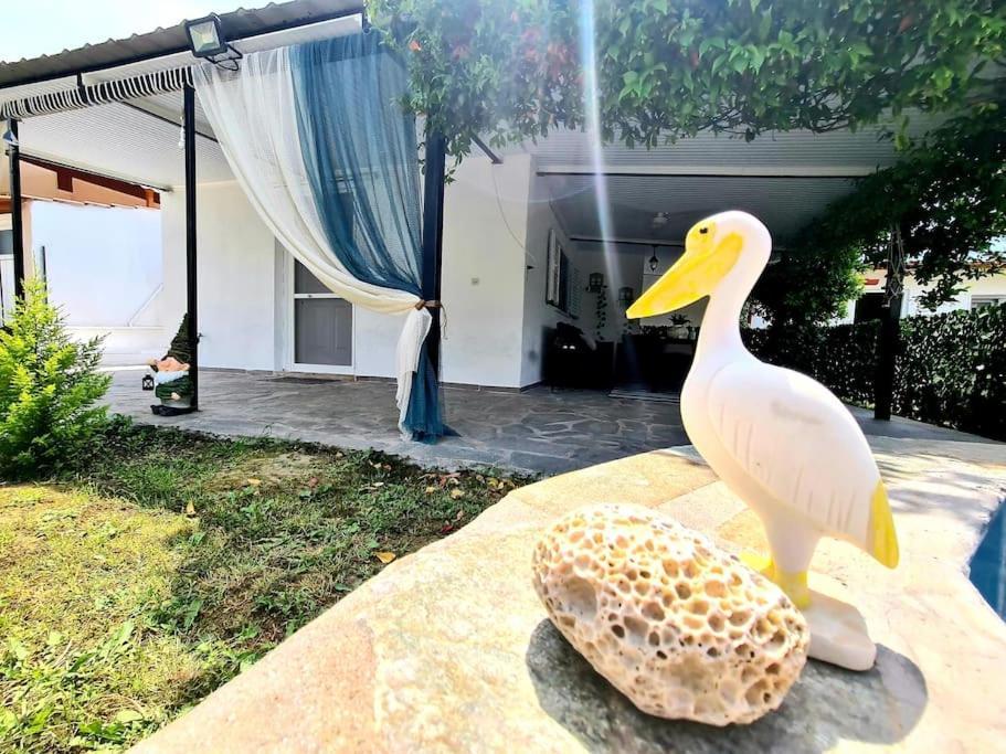 Mom'S Seaside Home Karianí エクステリア 写真